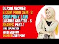 DU SOL B.Com Sem 2 Company Law Chapter 6 Shares Full Explanation Hindi | PART -1