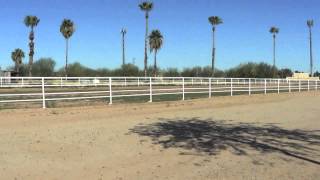 Chris Zubrycki Video Blog #71 - 14825 N 68th Drive, Peoria, AZ 85381