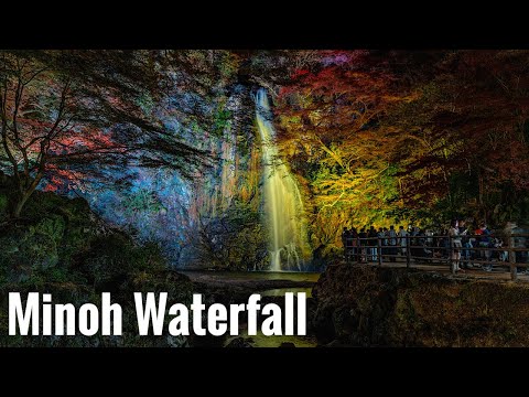 箕面大滝の紅葉 2024 Osaka Night Walk - Autumn leaves at Minoh Waterfall 4K HDR Japan