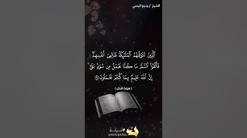 تلاوه خاشعه للشيخ وديع اليمني