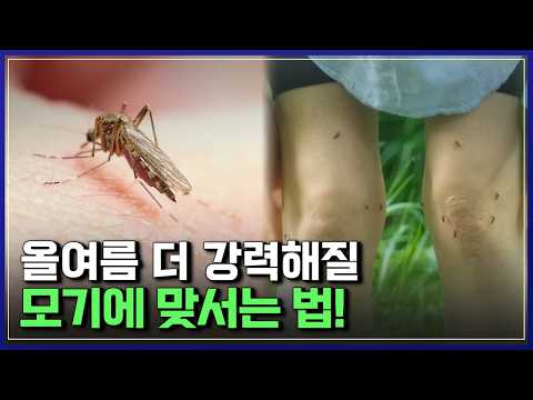 '올여름 심상치 않다'..더 강력해질 모기에 맞서는 법! 인류는 살아남을 수 있을까? [반복재생] / YTN 사이언스