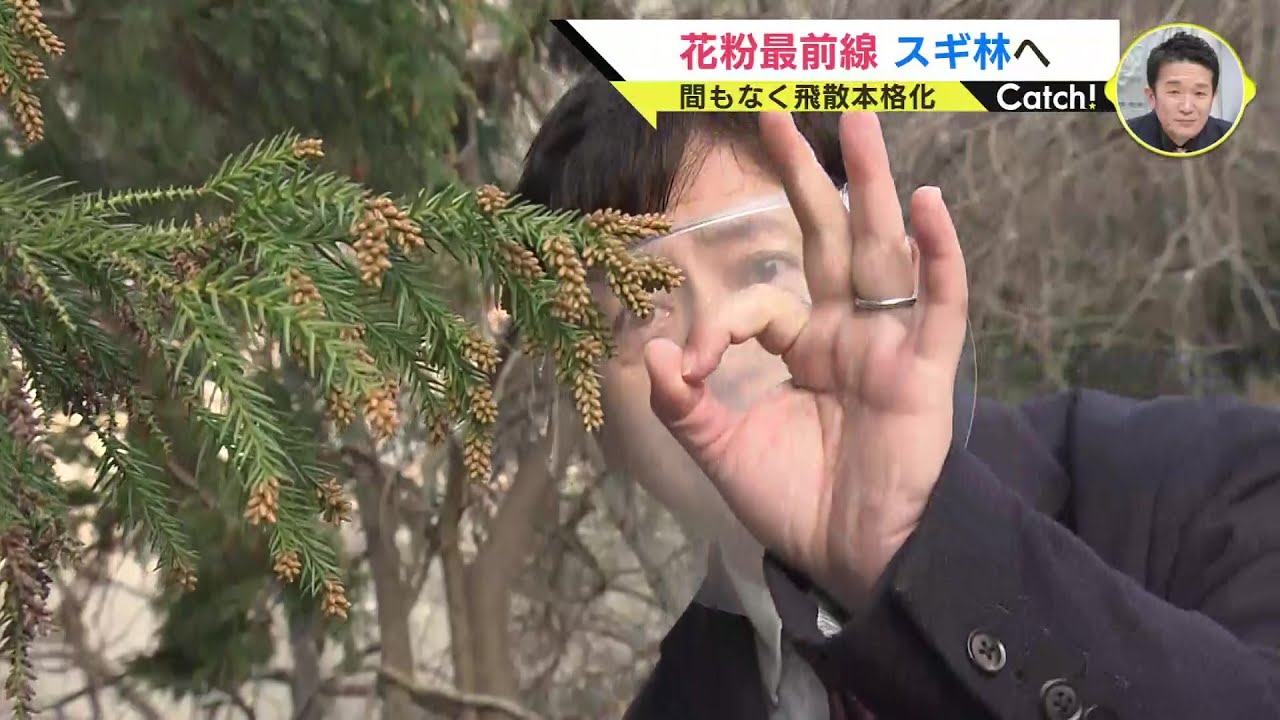 With temperatures rising, pollen is 