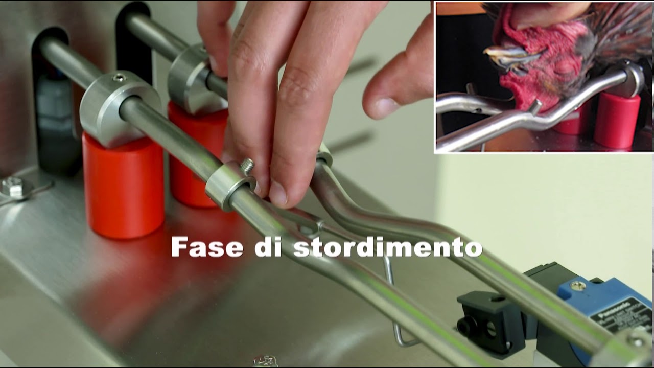 Storditore Elettrico per avicunicoli Power ST - Spiumatrici Senesi Srl