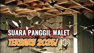 Download Suara Walet Terbaru 2025 – Kualitas HD, Gratis!