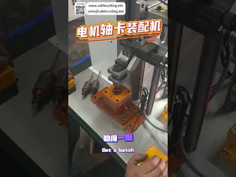 Motor Shaft Circlip Assembly Machine High Precision Automated Mechanical Equipment Factory Line - Shorts