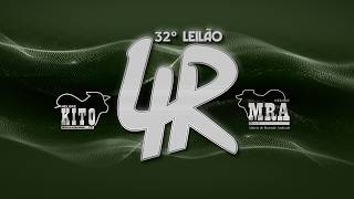 LOTE 134
