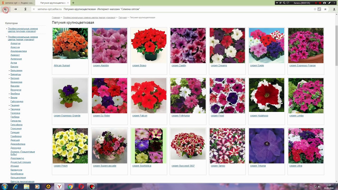 Купить семена цветов почтой в беларуси цветение конопли форум