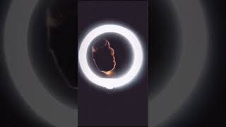 SHOCK CONTENT | DJ GIVE ME BASS