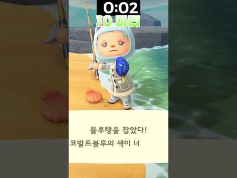 도전! 3분 미션 (낚시)