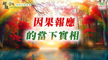 因果報應的當下實相｜太陽盛德導師–超級生命密碼網路共修精華