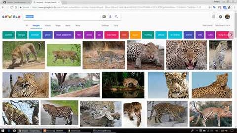 Download multiple photo from google search engine.