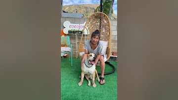 Sign up for our Minicle Micro Bubble course online