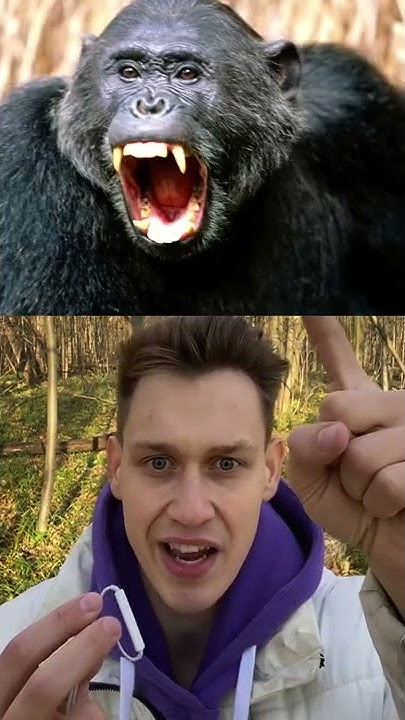 Эту девочку съела огромная обезьяна😱😰😭 - YouTube
