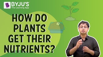 How Do Plants Get Their Nutrients? I Class 7 I Learn With BYJU