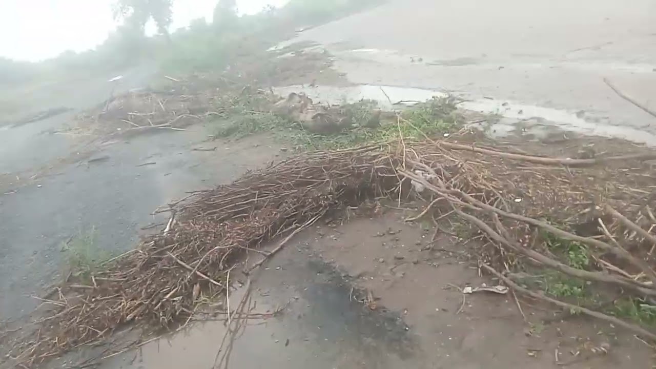 સાવરકુંડલા તાલુકા ધોબા ગામ. ભયંકર તબાહી આવી તબાહી 35 વર્ષ થઈ ગયાં તારેજોય નદી ભયંકર રૂપ જોયું