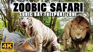 [4K] Day Tour of ZOOBIC SAFARI at Subic Bay Freeport Zone! Close Encounters with the Wild!