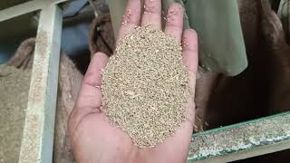 ajwain cleaning factory #factory #ajwain