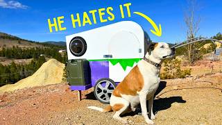 I Built My Crazy 100 lb Dog an Off-Road Camper