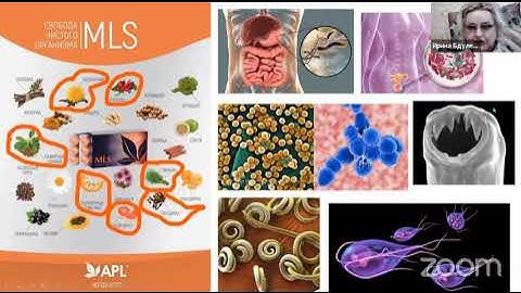 #паразиты MLS уникальное средство для выведения паразитов с драже компании APL