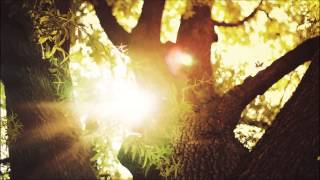 Auvic - Voices Blend Remix