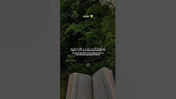 🌿 "ووصينا الإنسان بوالديه إحسانا" تلاوة خاشعة تهز القلوب 💔 بصوت إسلام صبحي | تلاوة تلامس الفطرة ✨🕊️