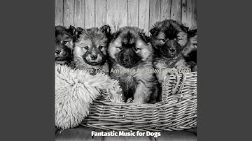 Pulsating Moods for Resting Pups