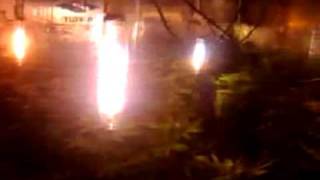 http://www.budbook.org   9,000watts...Lights On!!!  how to grow marijuana
