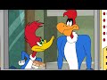 The Snack Wars | Woody Woodpecker