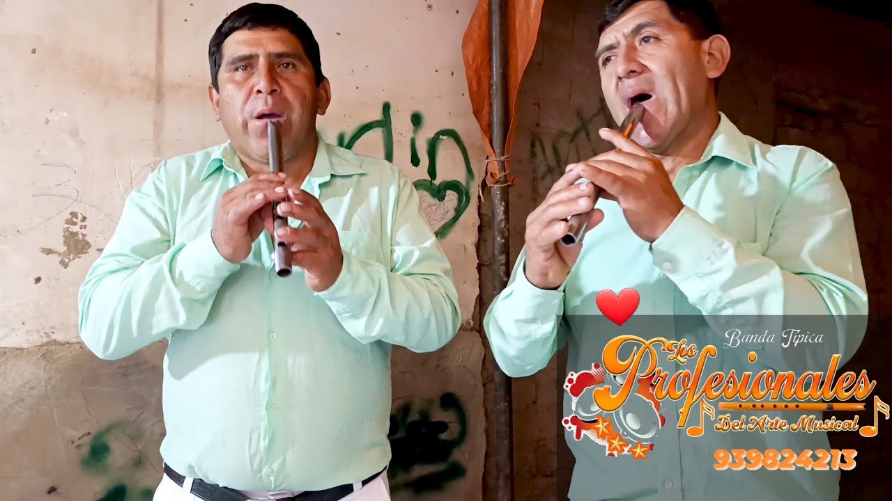 Los Profesionales Marinera y Huayno