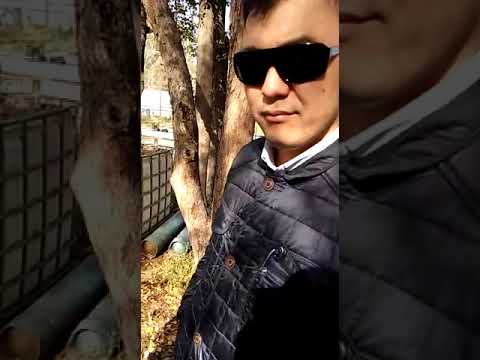 в г.в г.Токмак органы власти вторглись в рыбное хозяйство без разрешение