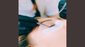 Sprightly Backdrops for Basking in Thoughts