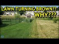 Here's WHY Your Lawn Might Be Turning BROWN...