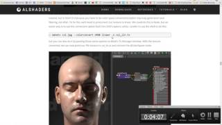 MtoA Al Skin Linear Workflow