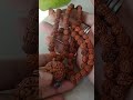 Jap mala with 5 Mukhi Nepali Rudraksha WhatsApp 099205 69634 #reels #viral #viralvideo #shorts