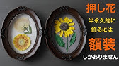 半永久的に飾れる押し花の作り方 ガーベラレッスン1 Youtube