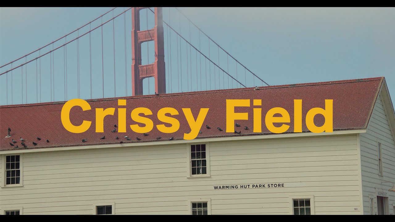Crissy Field, San Francisco - 8K  | Canon EOS R5