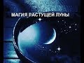 МАГИЯ РАСТУЩЕЙ ЛУНЫ