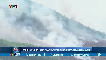 Tăng cường các biện pháp cấp bách phòng cháy, chữa cháy rừng | VTVWDB