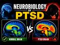 PTSD and the Brain 1: How Trauma Rewires the Fear System