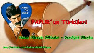 Hasan Hüseyin Gökbulut - Sevdigini Bileyim ( Papur´un Türküleri )