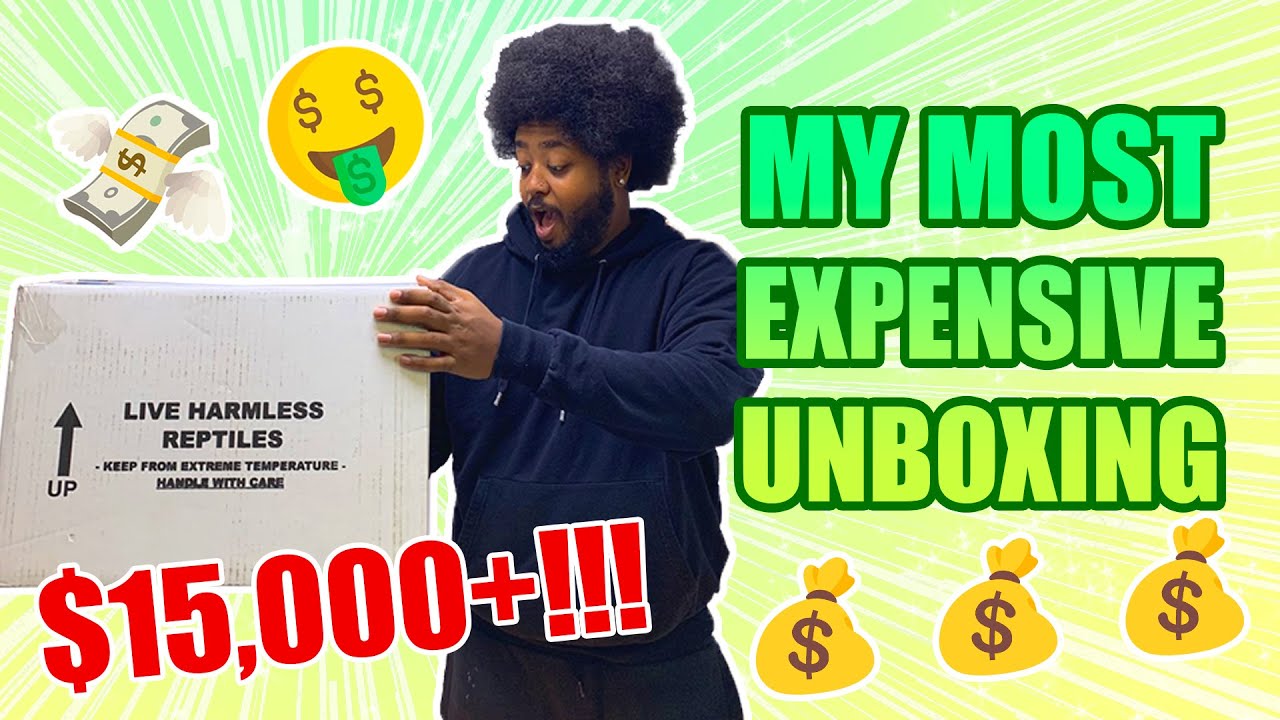 my most expensive ball python unboxing *(ULTRA AMAZING)* - YouTube