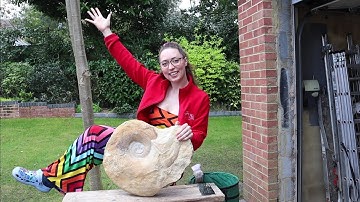 Megalytoceras Fossil Prep Part 3...Fossil Friday