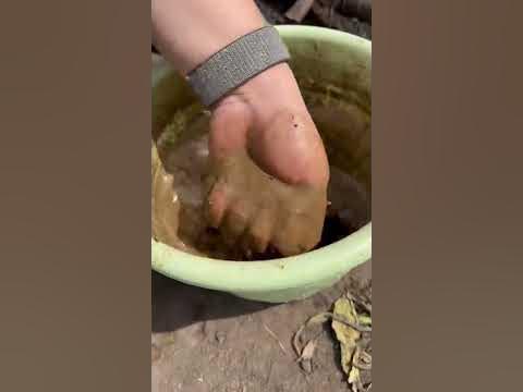 #семена #сад #дача #семенаалтая - YouTube