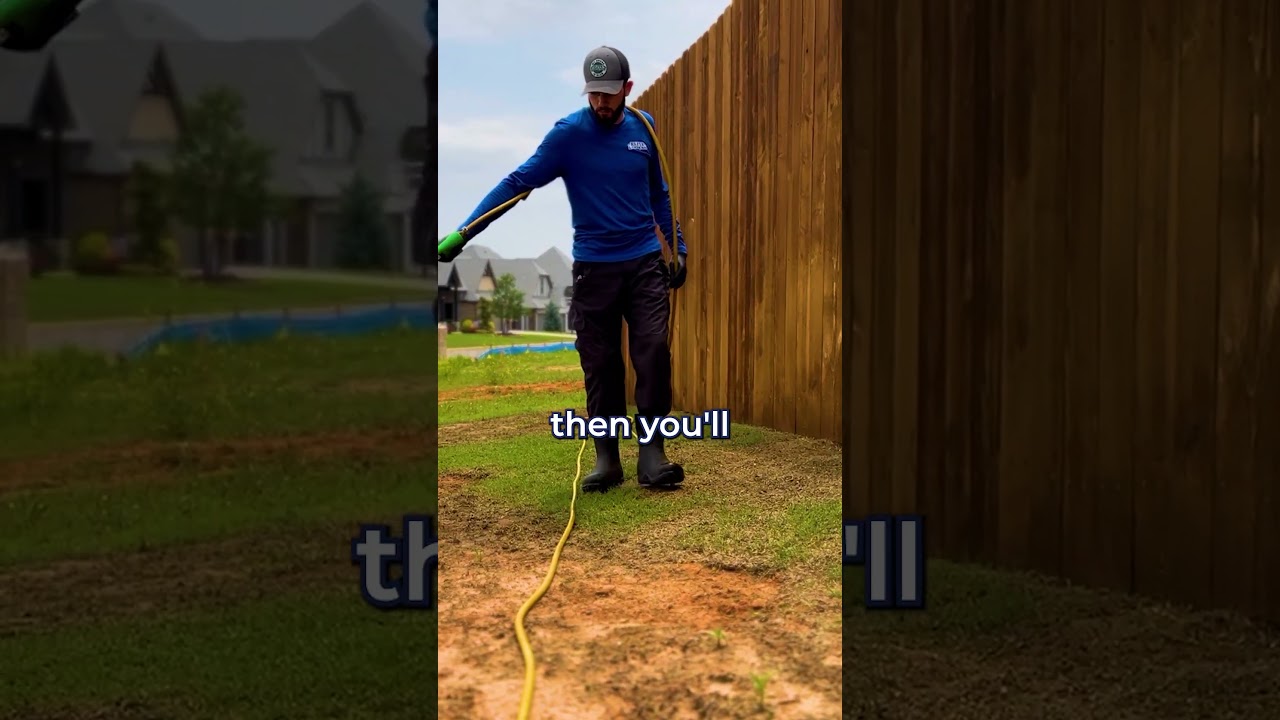 Lawn Spray is a MUST for Pest Control!