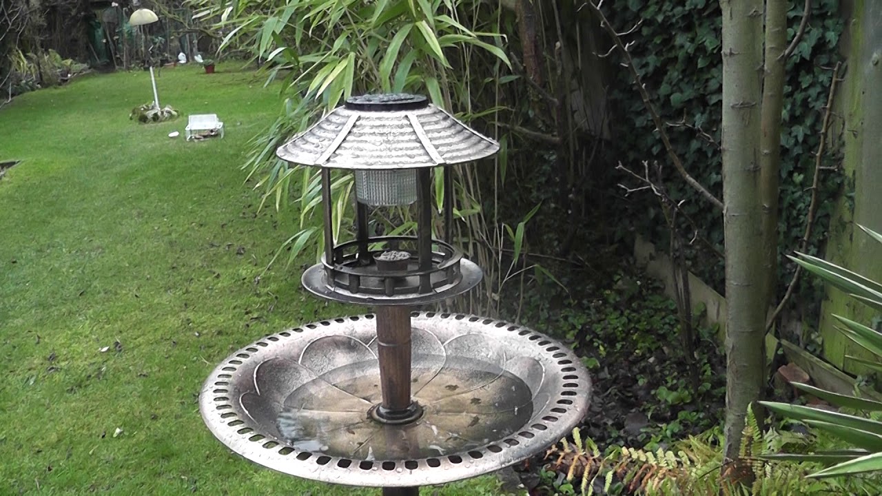 share Solar Power Bird Bath fully assembled 26dec19 Cambridge UK YouTube