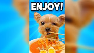 This Dog Eats Better Than Most Humans 😂🐶 | Satisfying ASMR
