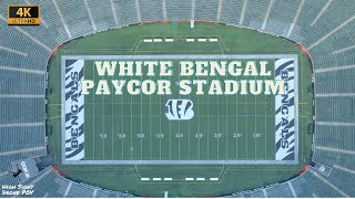 4K Drone Footage - White Bengal Field Preparations