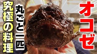 オコゼを愛する第二弾 オコゼ煮付け 泡で炊く極上の煮つけと最強のtkg公開 Youtube オコゼを愛する第二弾 オコゼ煮付け 泡で炊く極上の煮つけと最強のtkg公開 Youtube