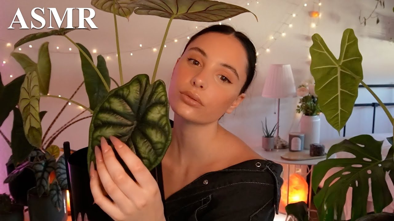 ASMR Pflanzen Tapping 🌵🪴 + Flüstern