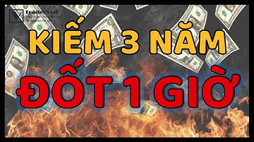 ✅ Kết Cục BUỒN Cho Trader Cung Cấp Tín Hiệu Hàng Đầu Từ MQL5 - Kiếm 3 Năm, Đốt 1 Giờ